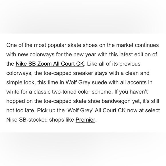 NIB MENS NIKE SB Zoom All Court CK Wolf/Grey Retl $169 Sell $109 Sz 12 Now $100 - Picture 10 of 12